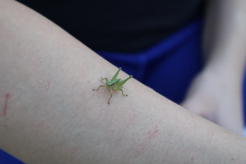 Customer photo 3 of 6. Click to open full size image.