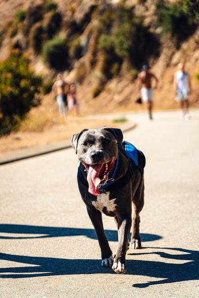 Customer photo 3 of 6. Click to open full size image.