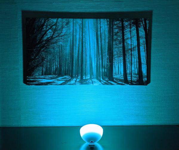 Customer photo 2 of 3. Click to open full size image.