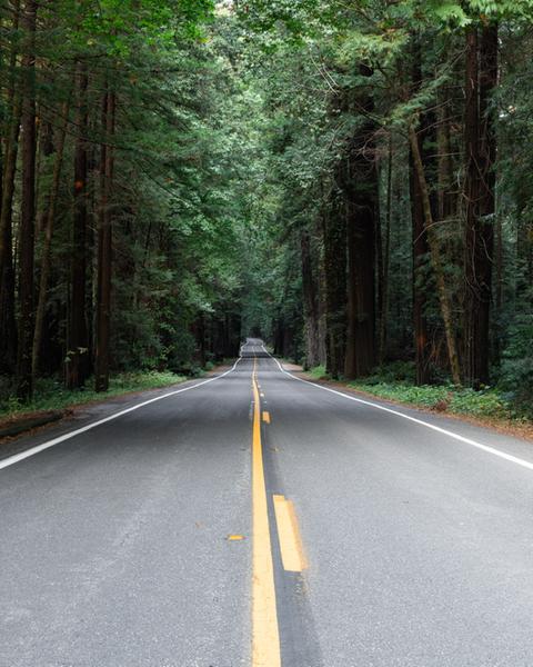 Customer photo 1 of 6. Click to open full size image.