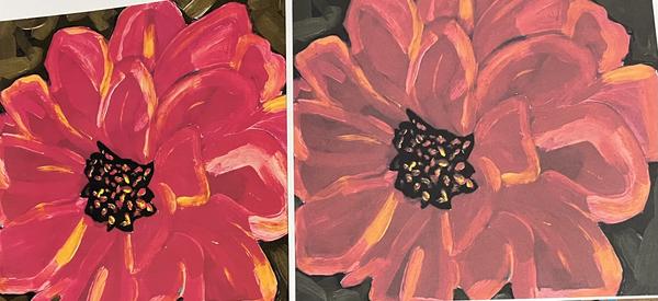 Customer photo 2 of 4. Click to open full size image.