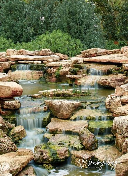 Customer photo 2 of 3. Click to open full size image.