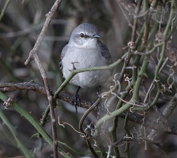 Customer photo 4 of 6. Click to open full size image.