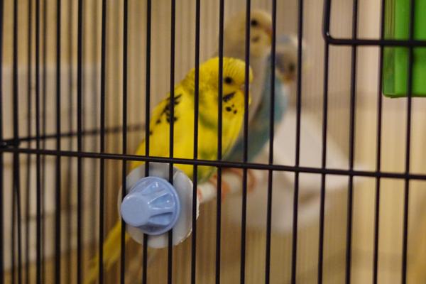 Customer photo 3 of 4. Click to open full size image.