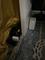 User submitted photo