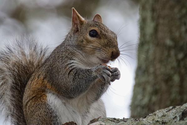 Customer photo 3 of 3. Click to open full size image.