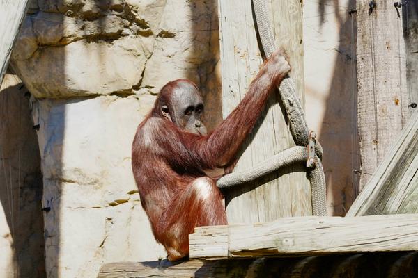 Customer photo 6 of 6. Click to open full size image.