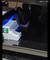 User submitted photo