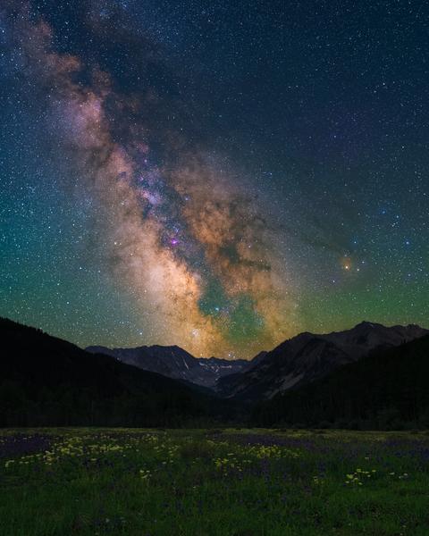 Customer photo 1 of 6. Click to open full size image.