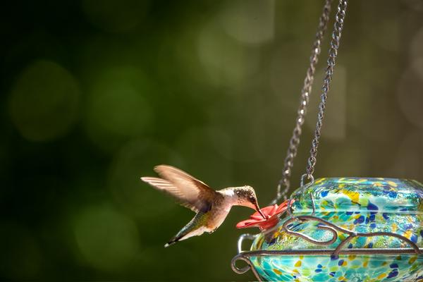 Customer photo 3 of 4. Click to open full size image.