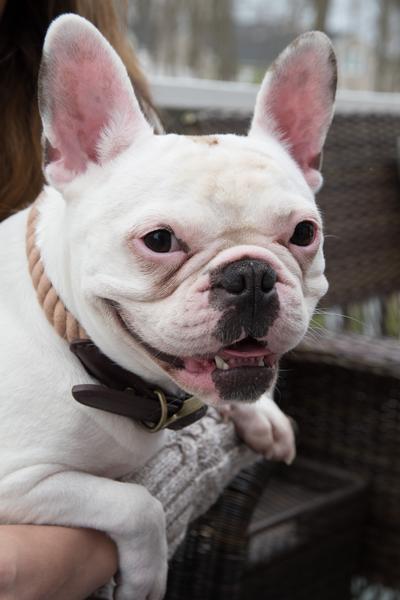 Customer photo 1 of 2. Click to open full size image.