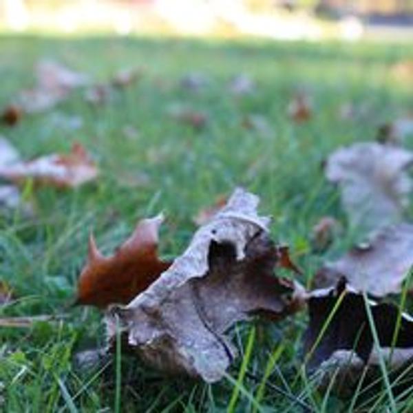 Customer photo 1 of 3. Click to open full size image.