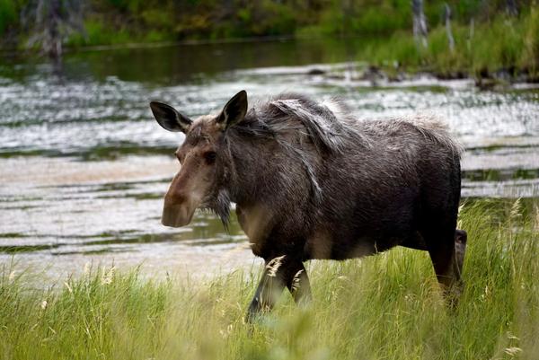 Customer photo 2 of 6. Click to open full size image.