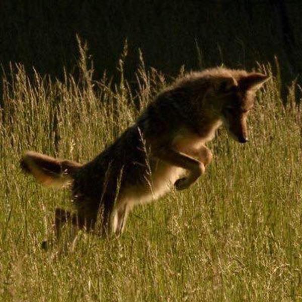 Customer photo 1 of 4. Click to open full size image.