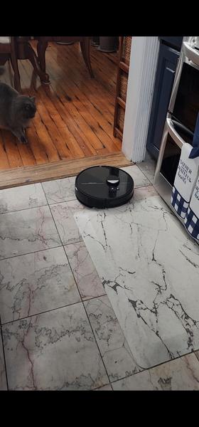 Customer photo 3 of 3. Click to open full size image.