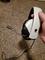 User submitted photo