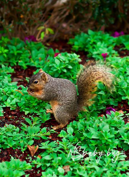 Customer photo 1 of 3. Click to open full size image.