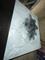 User submitted photo