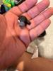 User submitted photo