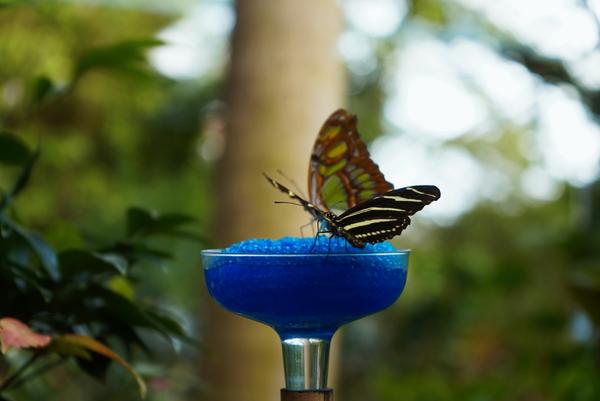 Customer photo 2 of 6. Click to open full size image.