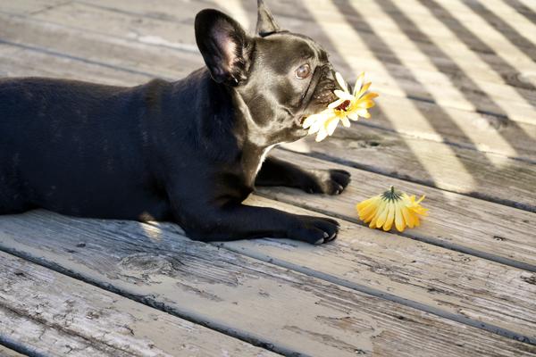 Customer photo 6 of 6. Click to open full size image.