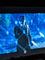 User submitted photo
