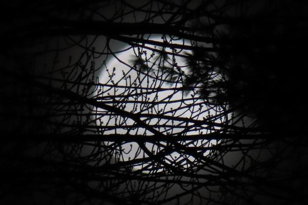 Customer photo 1 of 5. Click to open full size image.