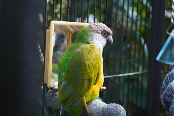 Customer photo 3 of 6. Click to open full size image.