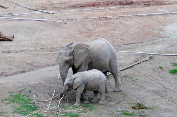 Customer photo 3 of 6. Click to open full size image.