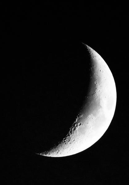 Customer photo 5 of 6. Click to open full size image.