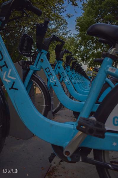 Customer photo 3 of 4. Click to open full size image.