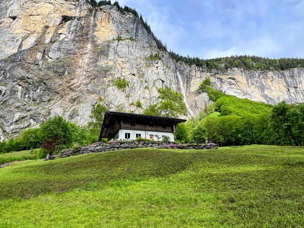 Customer photo 2 of 6. Click to open full size image.