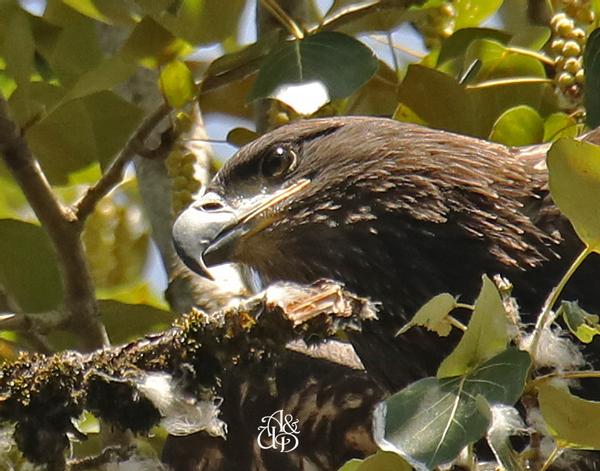 Customer photo 3 of 3. Click to open full size image.