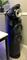 User submitted photo