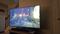 User submitted photo