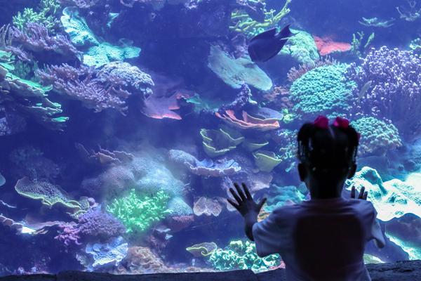 Customer photo 3 of 4. Click to open full size image.