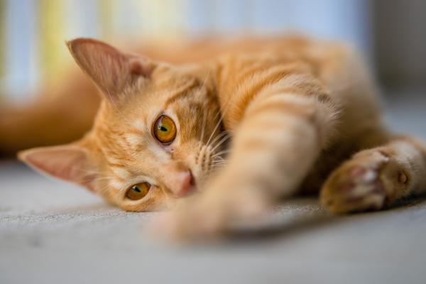 Customer photo 1 of 4. Click to open full size image.