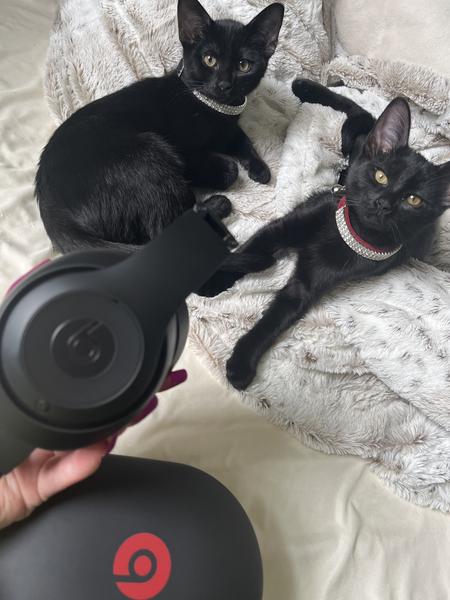 Customer photo 1 of 5. Click to open full size image.