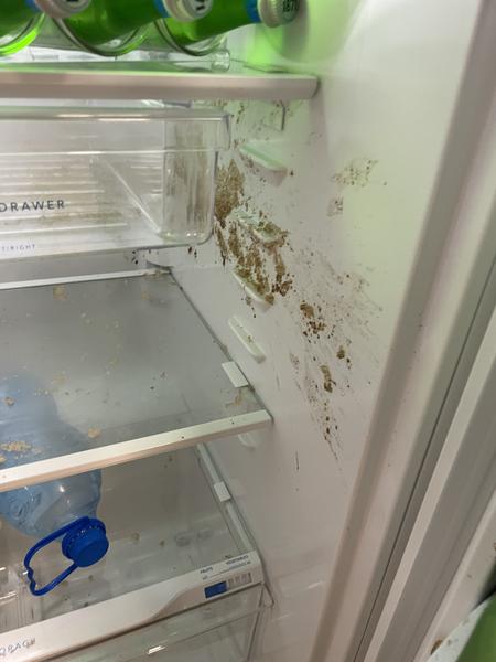 Customer photo 2 of 5. Click to open full size image.