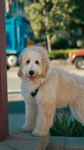 Customer photo 1 of 6. Click to open full size image.