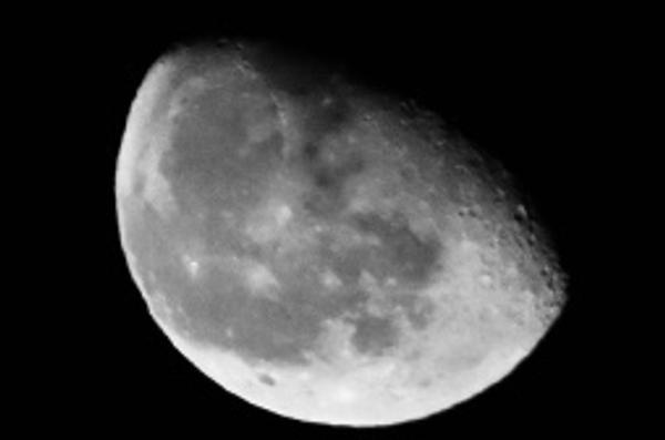 Customer photo 2 of 6. Click to open full size image.