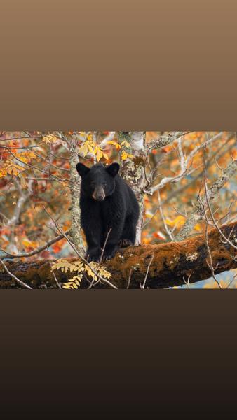 Customer photo 4 of 4. Click to open full size image.