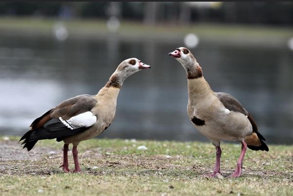 Customer photo 5 of 6. Click to open full size image.