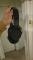User submitted photo