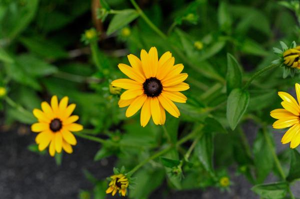 Customer photo 4 of 4. Click to open full size image.