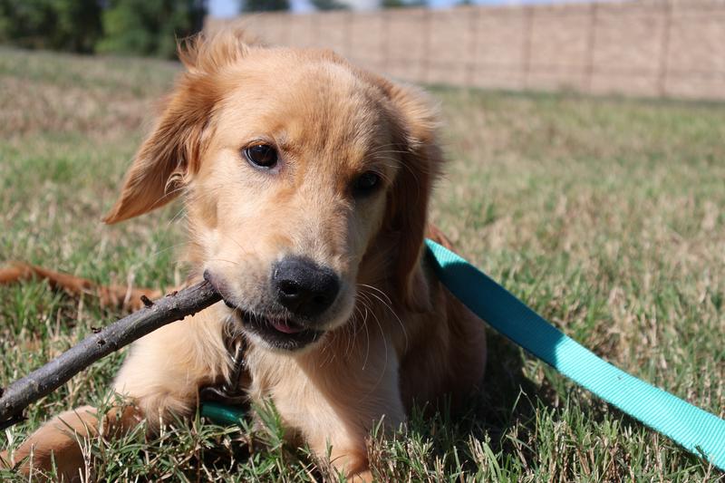 Customer photo 4 of 5. Click to open full size image.