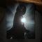 User submitted photo