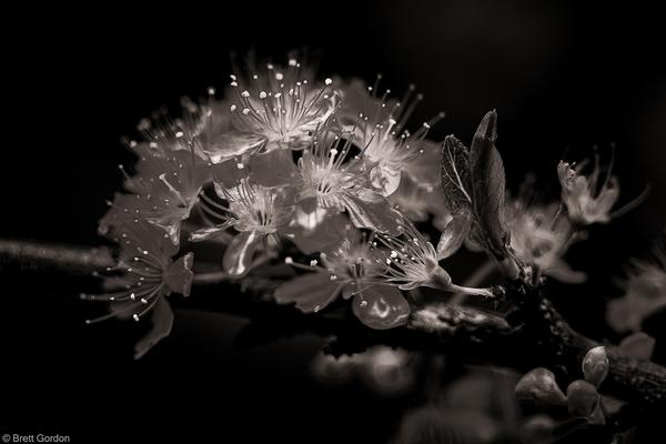 Customer photo 5 of 5. Click to open full size image.