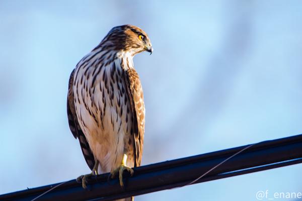 Customer photo 1 of 4. Click to open full size image.