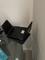 User submitted photo